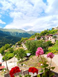 a view of a small town on a hill with flowers at pasithea mountain rooms in Fylaktí