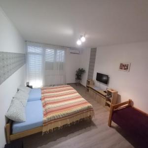 a bedroom with a bed and a flat screen tv at Acceptus Domus in Szombathely