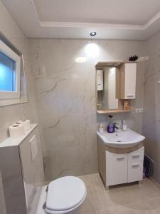 a bathroom with a toilet and a sink at Villa Una Verde in Bosanska Krupa +32 photos
