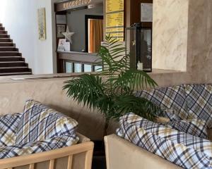a plant sitting on a bench in a store at Hotel Iceberg Bansko in Bansko