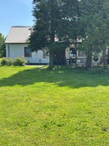 a house with a tree and a grass yard at Haus Charenza in Garz +4 photos