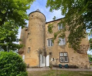 an old castle with a tower on top of it at Château de Trévien in Trévien