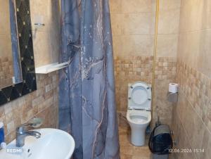 a bathroom with a sink and a toilet at Hotel Marina in Shekhvetili +71 photos