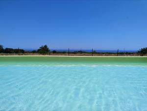 a view of a large body of water at Alba e Colori di Puglia in Conversano +24 photos