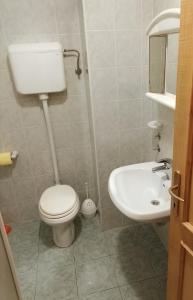 a bathroom with a toilet and a sink at Soča Trails Apartment #4 in Srpenica