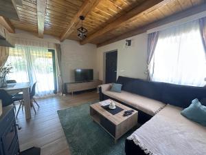 a living room with a couch and a table at Villa Ema in Pale