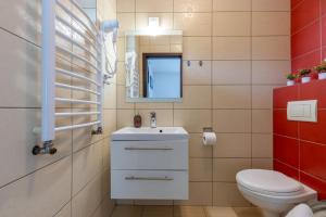 a bathroom with a toilet and a sink and a mirror at Willa Beskidek PLUS in Szczyrk +152 photos
