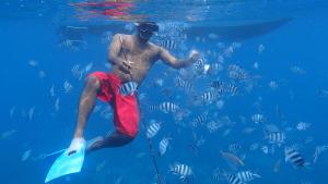 a man in the water in front of a group of fish at Sweet Beach Bungalow in Tamarin