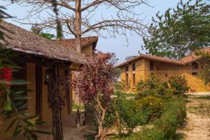 a house in the middle of a garden at Tiger Track Eco Lodge in Bardiyā