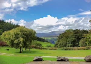 a tree in the middle of a field with rocks at Beautiful Home In Bala, Gwynedd W in Bala +50 photos