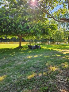 a park with a picnic table under a tree at Laurier in Challans