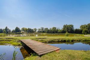 a wooden bridge over a pond in a park at Łowisko Dom ze Stawami in Trudna