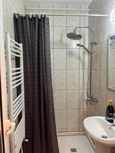 Garsoniera Centru tesisinde bir banyo