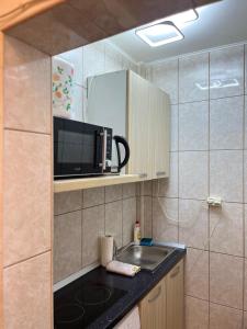 Garsoniera Centru tesisinde mutfak veya mini mutfak +3 fotoğraf