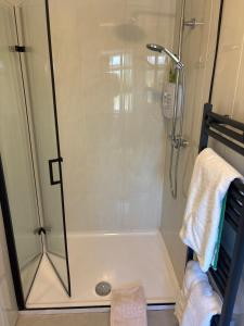 a shower with a glass door in a bathroom at Palm Grove B&B in Cashel +17 photos