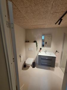 a bathroom with a toilet and a sink at Lofoten Apartment 01 in Leknes +8 photos