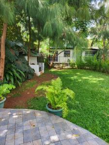 a yard with palm trees and a house at Private 2BR Bungalow in Quiet Green Gated Estate in Nairobi