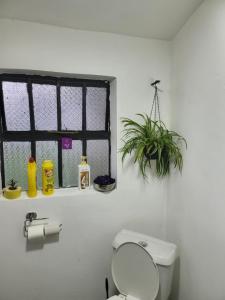 a bathroom with a toilet and a window and a plant at Private 2BR Bungalow in Quiet Green Gated Estate in Nairobi +43 photos