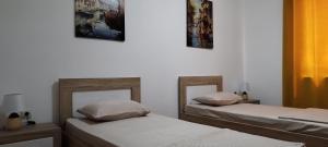 two twin beds in a room with white walls at Tamaris apartments Risan in Risan +54 photos