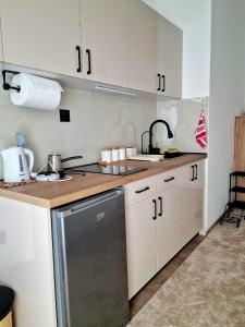 a kitchen with white cabinets and a sink and a dishwasher at Apartman Vesna in Leskovac