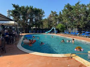 a group of people in a swimming pool at B&B La Vigna dei Fratelli in lido degli scacchi