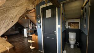 a bathroom with a toilet in an attic at Le Loft de l'auberge du Lac Noir in Saint-Cernin-de-Larche +35 photos