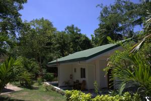 a small house with a green roof at Room 5 in Siquijor