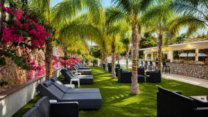 a row of chairs and palm trees on a lawn at Corfu Hotel in Ayia Napa