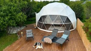 a gazebo with chairs and a dog laying on a deck at Saare Glamping Dome House in Salme +11 photos