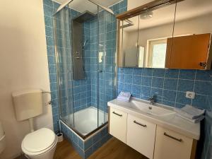 a bathroom with a toilet and a shower and a sink at Ferienpark Wehrda in Haunetal