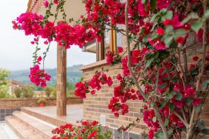 a bunch of red flowers hanging from a building at La Casuca de Marisa in Solórzano
