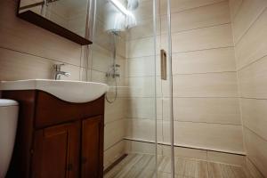 a bathroom with a sink and a shower at Casa de oaspeți in Brad