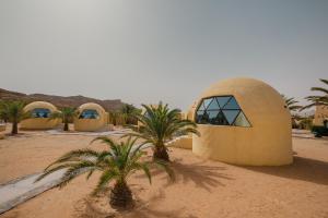 a building in the desert with palm trees in front at Bait Ali in Wadi Rum