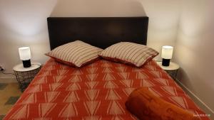 a bed with two pillows on top of it at T2 dans le centre historique de Manosque in Manosque