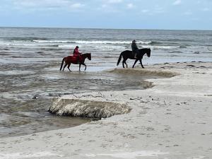 two people are riding horses on the beach at Ti Toenn et spa in Landéda