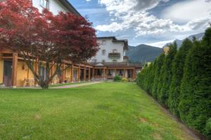 a large yard with a building and a tree at Hotel Panoramic in Auronzo di Cadore