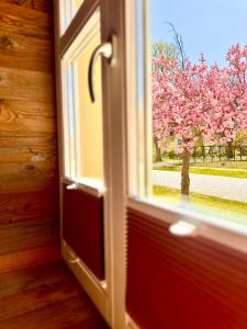 eine offene Tür mit Blick auf einen Baum mit rosa Blüten in der Unterkunft Posthaus Kloster Zinna in Jüterbog
