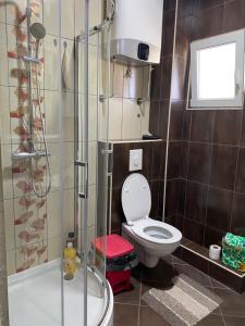 a bathroom with a toilet and a shower at Purple Haze Apartments in Tivat +12 photos