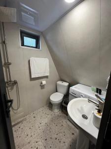 a small bathroom with a toilet and a sink at Sweet Cottage in Kobuleti