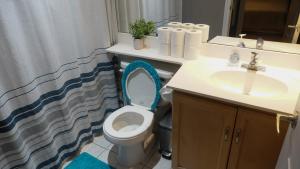 a bathroom with a toilet with the seat up and a sink at Urban Nest in Toronto