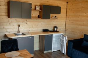 a kitchen with a counter and a sink in a cabin at House Riverside in Kozmacz