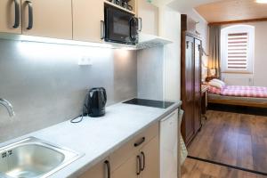 a kitchen with a sink and a microwave at Apartmán Mafin in Jáchymov
