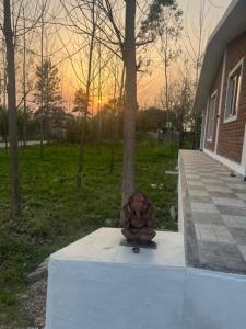 a stuffed animal sitting on the side of a house at RajKamal's Farm in Borās