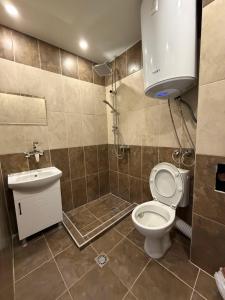 a bathroom with a toilet and a shower and a sink at Family Hotel Ludo in Varna City +12 photos
