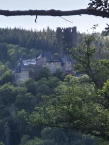 a castle in the middle of a forest at Ferienappartement Tal der Liebe in Sauerthal +11 photos
