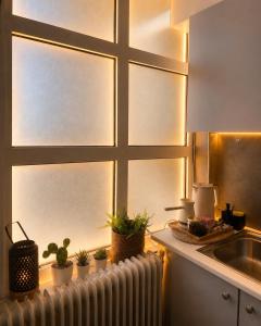 a kitchen with a window with potted plants on a radiator at Skyline apartment Ioannina in Ioannina