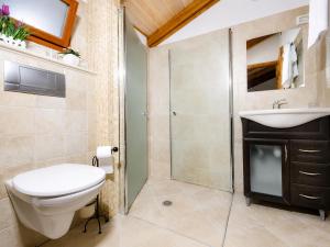 a bathroom with a toilet and a sink and a shower at אתנחתא בירדן in Mishmār Hāyardin