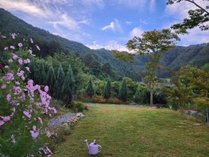 ein Garten mit rosa Blumen im Gras in der Unterkunft yangwon lavender 양원라벤더 금강송숲길 협곡열차 in Wŏn'gok