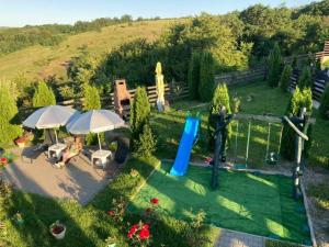 an aerial view of a backyard with a slide at Casa Poarta Paradisului in Moldoveneşti