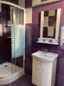 a bathroom with a sink and a shower and a toilet at Casa Poarta Paradisului in Moldoveneşti